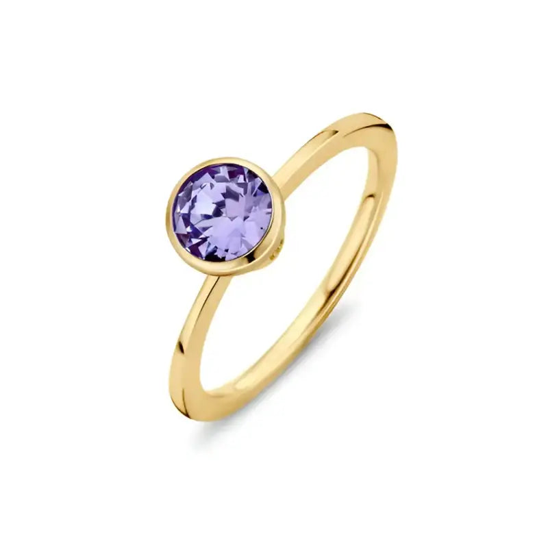 Goud ring met ronde paarse edelsteen voor Melano Twisted Petite collectie