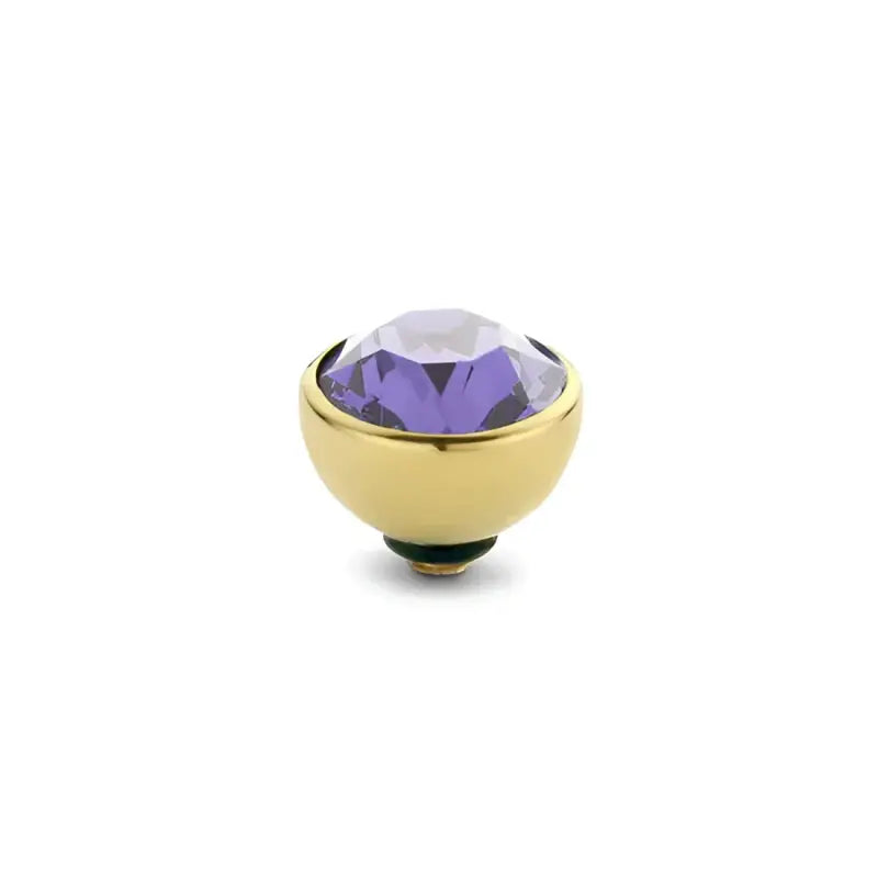 Goldtonen jewelry met paarse tanzaniet en basis steentje in Melano Twisted Basic collectie